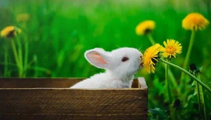 呼伦贝尔伴游，定制QQ：3494206190微信：act1322